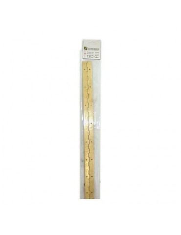 BISAGRA PIANO CON TORNILLO INOX. 1020 MM. DISPLAY