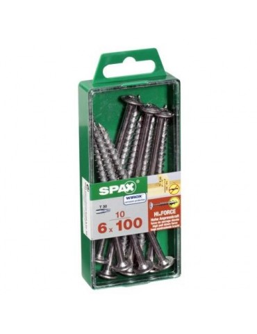 TORN. SPAX C/ARAN.TORX 6.0X100 WIROX C/10 UDS