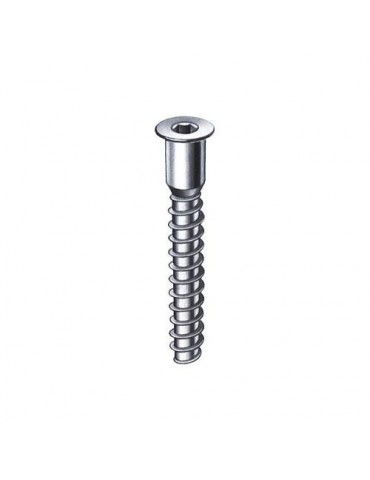 CENT. TORNILLO ENSAMBLAJE ZN. NUMERO 7 7X50
