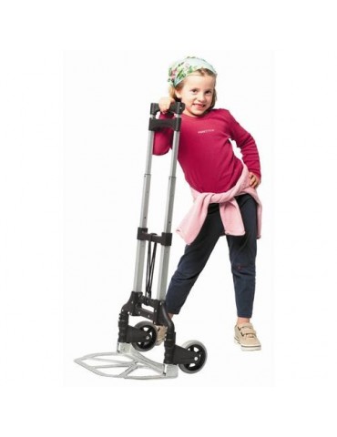 CARRO SUPER PLEGABLE S-50