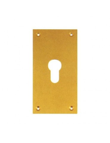 PLACA LATONADO PERA 60X120 MATE 300/13