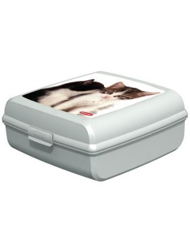 CAJA PORTAOBJETOS GATOS L 181171