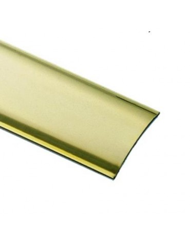 PLETINA ADHESIVA INOXIDABLE 40X1X1.00 11021