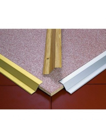 PLETINA ADHESIVA LATON 40X16X1.00 21090B