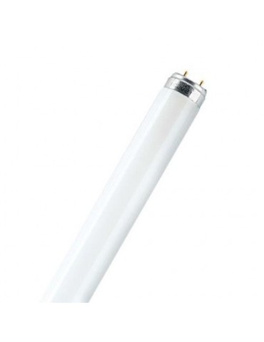 TUBO FLUORESCENTE TRIFOSFORO L 8 W./ 840