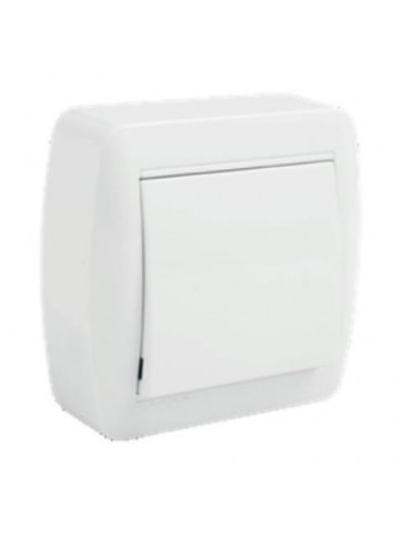INTERRUPTOR BIPOLAR 10AX 250V. SUPERF.BCO. MUR22U