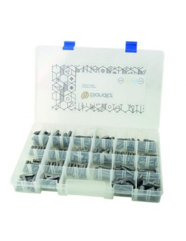 CAJA 218 PUNTAS SURTIDAS P/PROFESIONALES 238989