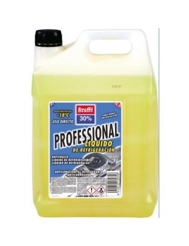 ANTICONGELANTE CC30 13035 5 L.