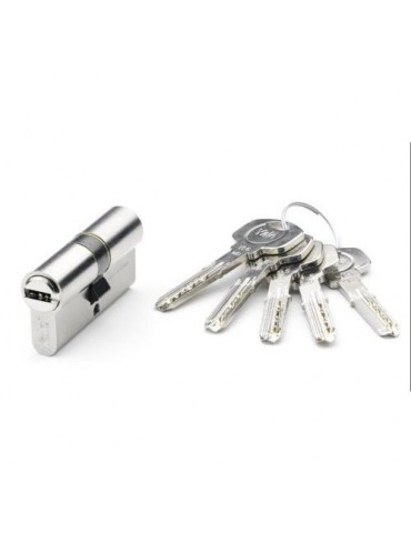 CILINDRO SEGURIDAD 40X40 WG NIQUEL YL6 80 YL64040