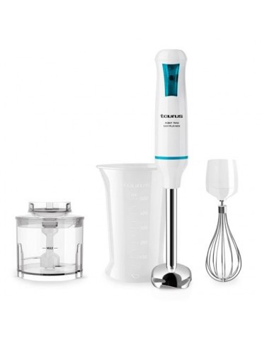 BATIDORA  VARILLA ROBOT 750 EASY PLUS INOX