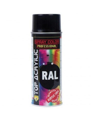 PINTURA SPRAY RAL 9010 BCO.BRILLO 400 ML.90010/002