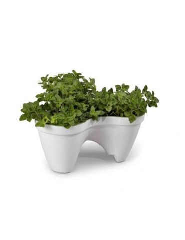 MACETA IVY - WHITE+GREEN -.STD 205565