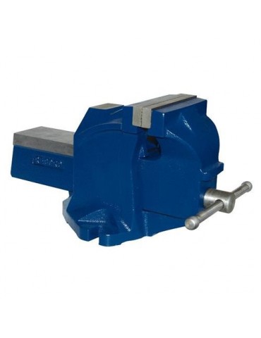 TORNILLO BANCO 100 MM.  RECORD TON-E-B