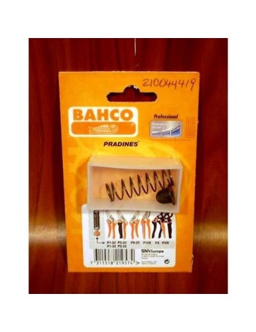 MUELLE+TOPE GOMA PARA P1-20-22 R1069P