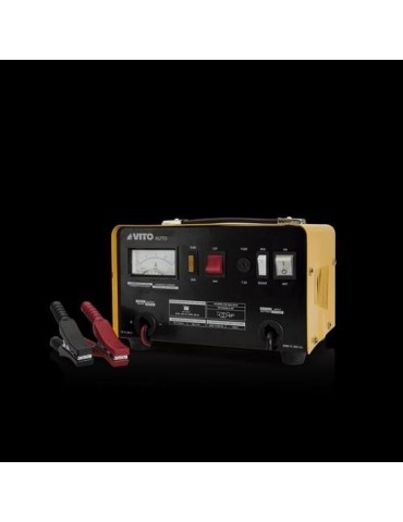 CARGADOR DE BATERIA 12/24 V VICB16S