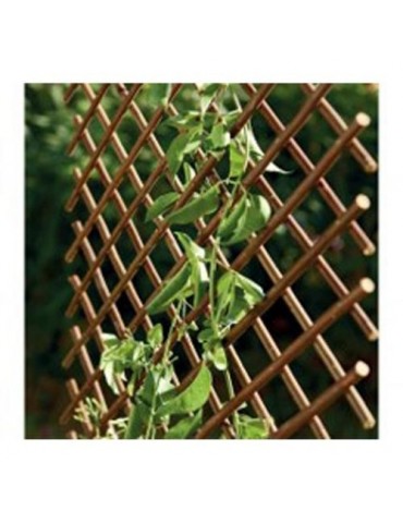 CELOSIA EXTENSIBLE DE MIMBRE 1X2 M 250017