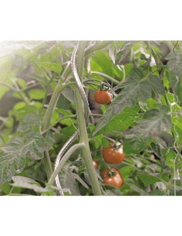TUTOR ESPIRAL PARA TOMATES DIAM.7 180 CM GALVANIZA