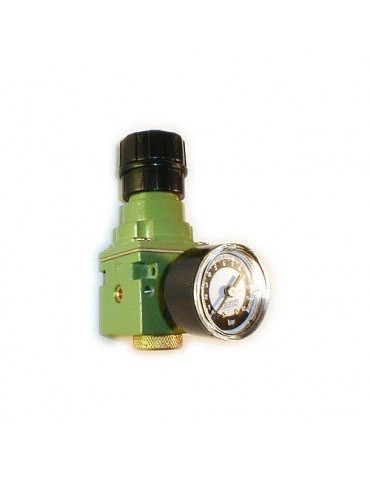 REGULADOR PRESION 1/4 R- 50